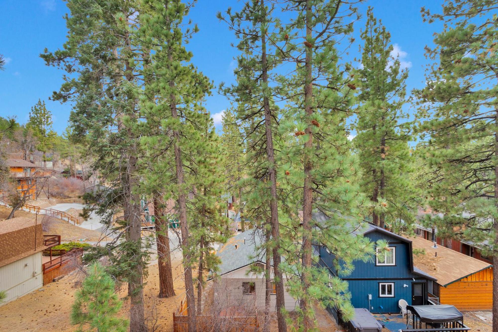 Cozy Crescent Tree Cabin Near Bear Mountain Біг-Бер-Лейк Екстер'єр фото